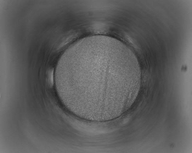 X0000090720028200708031511