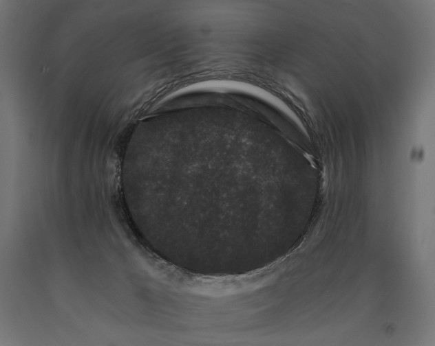 X0000090720029200708031511