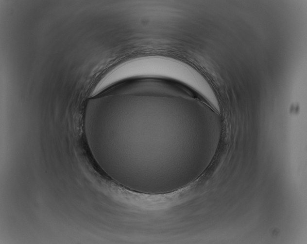 X0000090720031200708031511