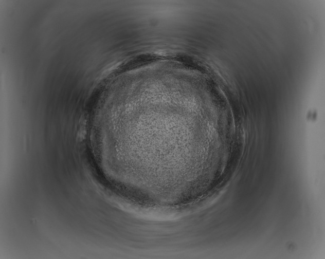 X0000090720032200708031511