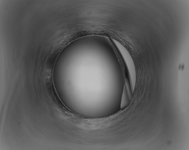 X0000090720033200708031511