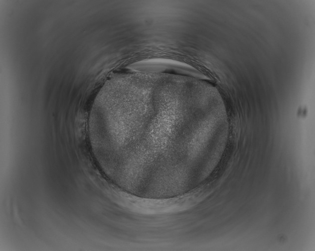 X0000090720034200708031511