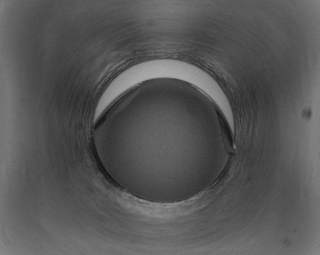 X0000090720035200708031511