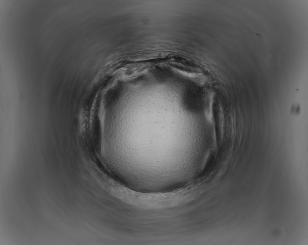X0000090720038200708031511