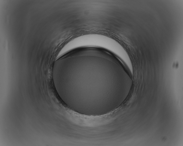 X0000090720039200708031511
