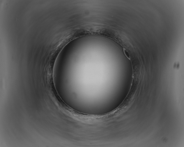 X0000090720040200708031511
