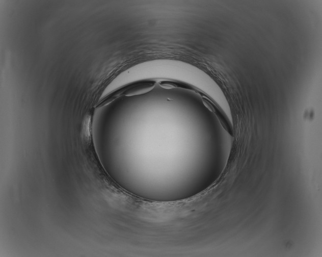 X0000090720041200708031511