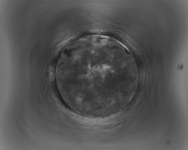 X0000090720043200708031511