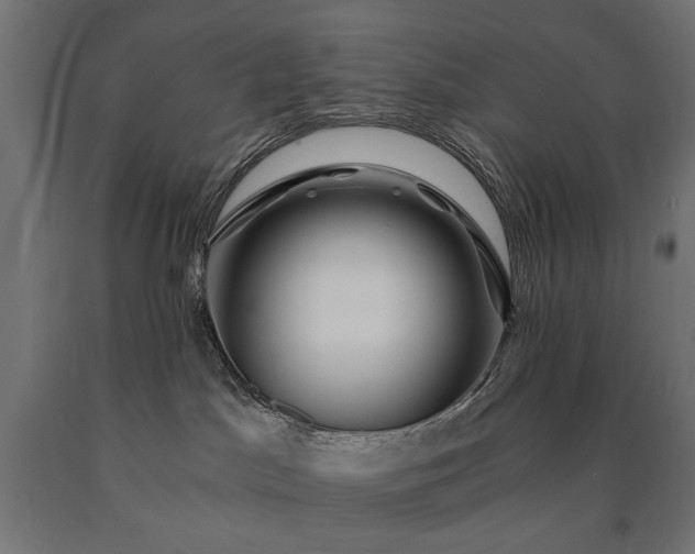 X0000090720045200708031511