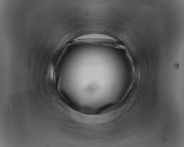 X0000090720046200708031510