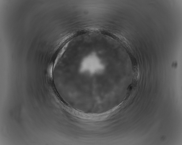 X0000090720047200708031510
