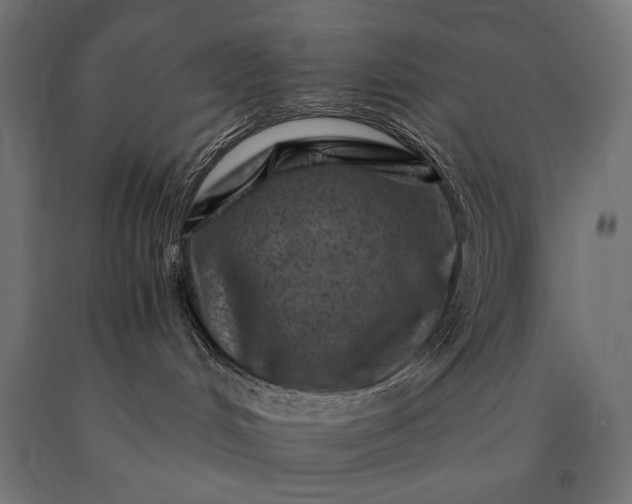 X0000090720048200708031510