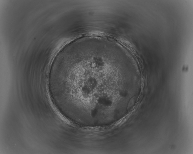 X0000090720049200708031510