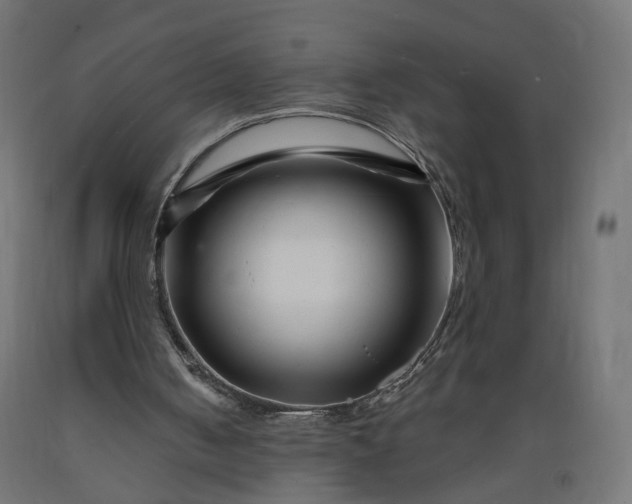 X0000090720050200708031510