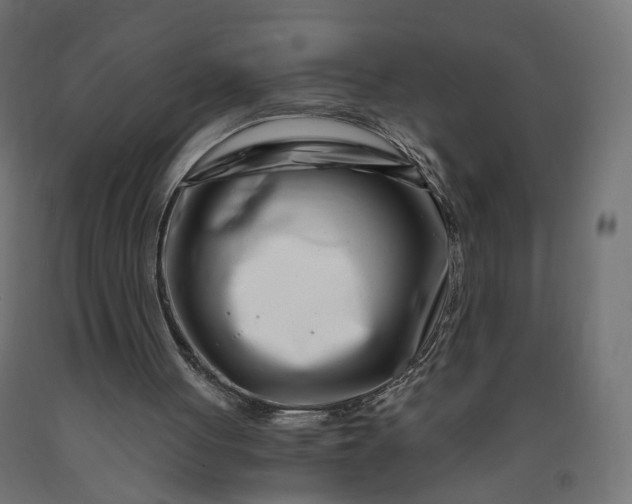 X0000090720051200708031510