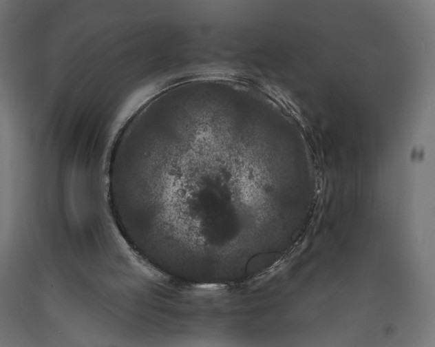 X0000090720053200708031510