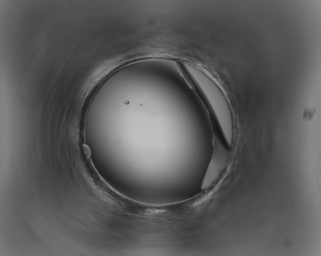 X0000090720055200708031510