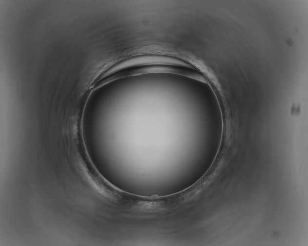 X0000090720057200708031510