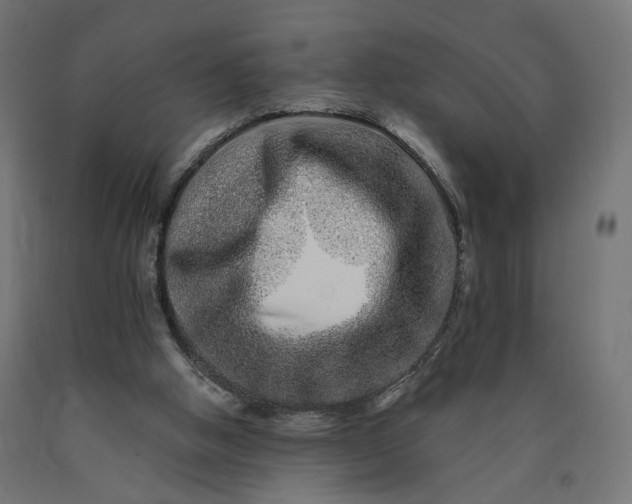 X0000090720058200708031510