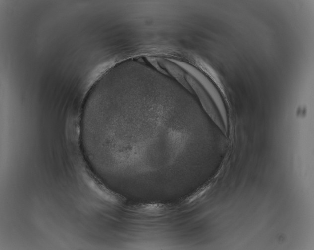 X0000090720059200708031510
