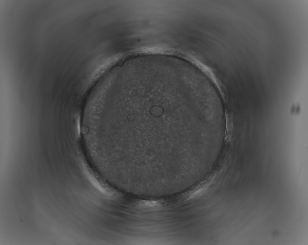 X0000090720061200708031510