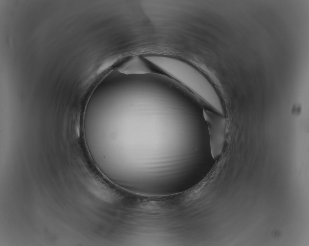 X0000090720062200708031510