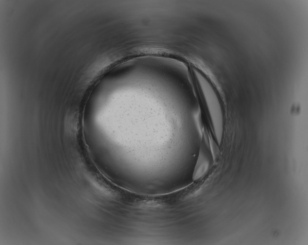 X0000090720063200708031510