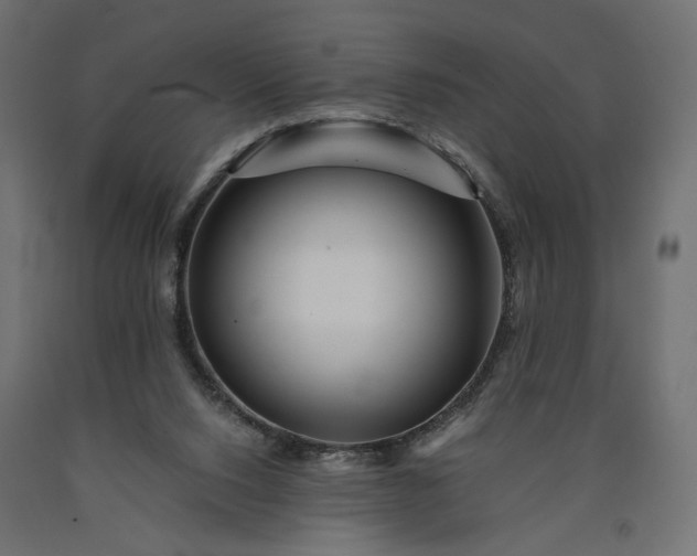 X0000090720064200708031510