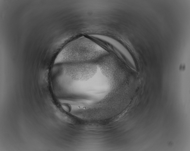 X0000090720066200708031510
