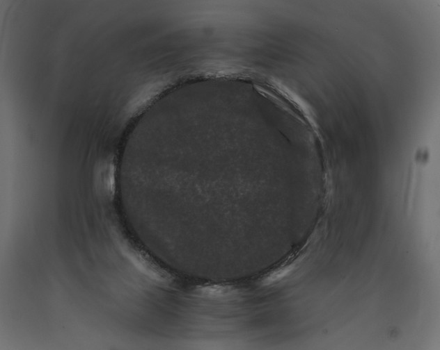 X0000090720067200708031510