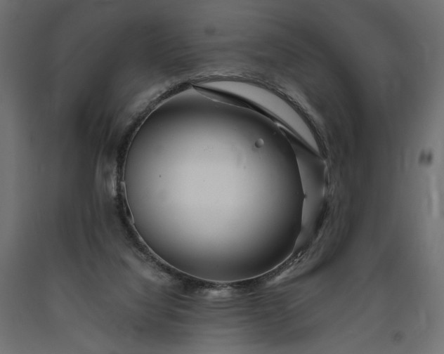 X0000090720068200708031510