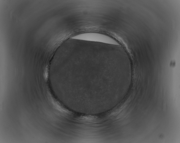 X0000090720069200708031510