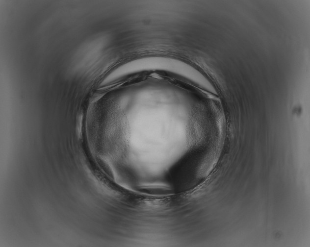 X0000090720070200708031510