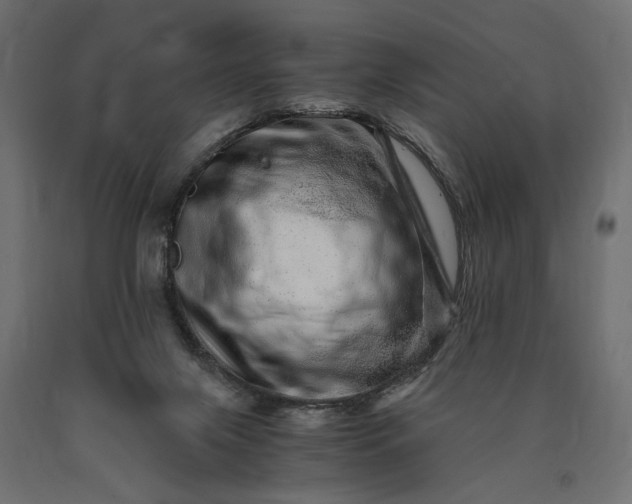 X0000090720071200708031510