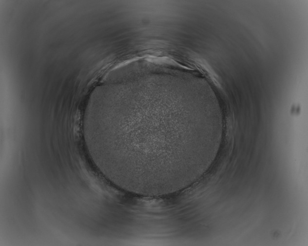 X0000090720073200708031510
