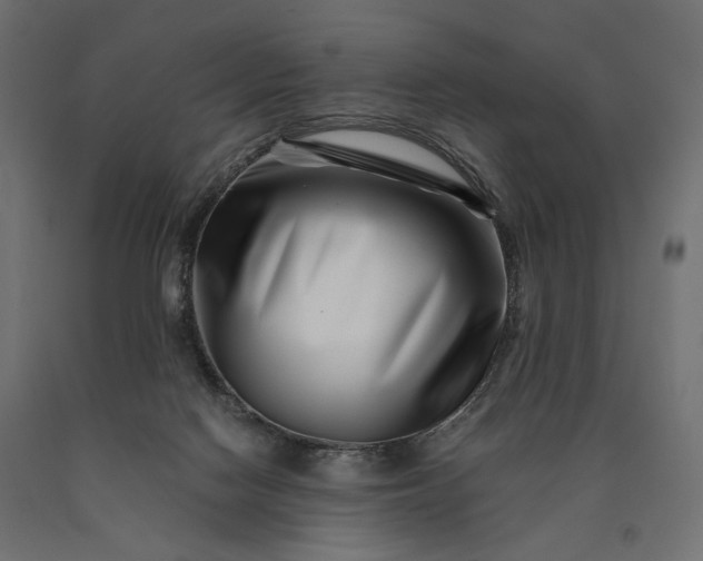 X0000090720074200708031510