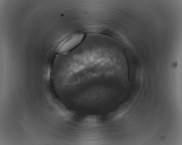 X0000090720076200708031510