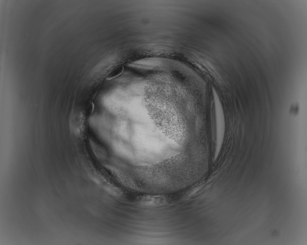 X0000090720077200708031510