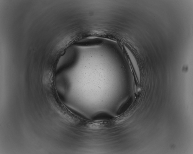 X0000090720079200708031510