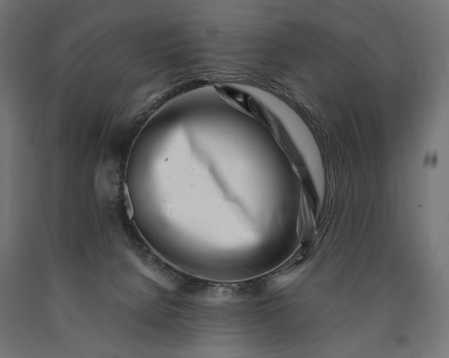 X0000090720080200708031510