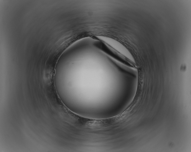 X0000090720082200708031510