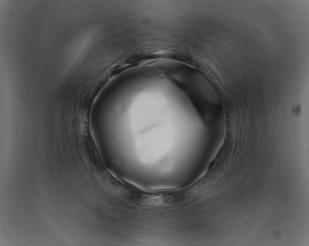 X0000090720083200708031510
