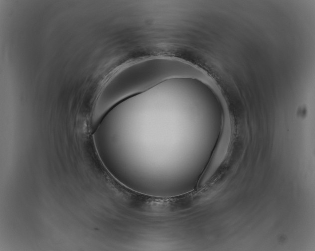 X0000090720084200708031510