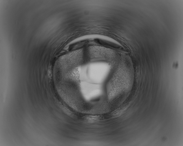X0000090720085200708031510