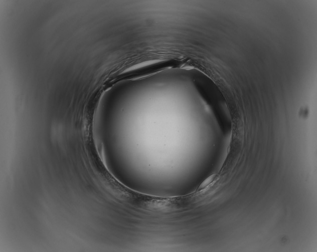 X0000090720086200708031510