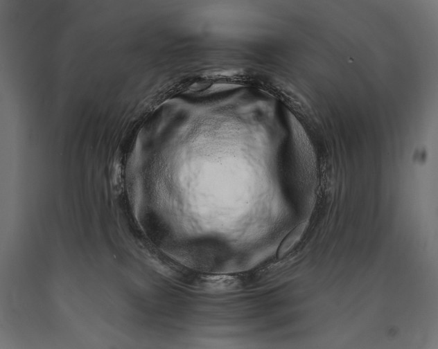 X0000090720087200708031510