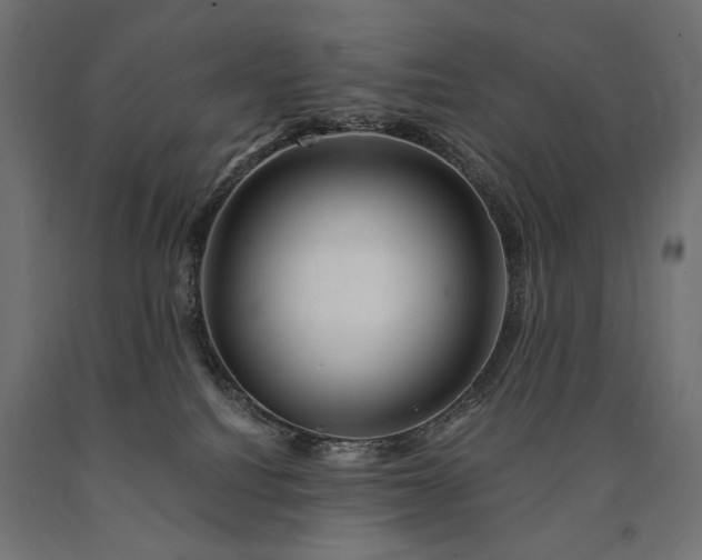 X0000090720088200708031510