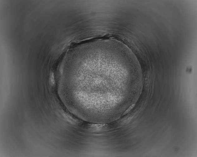 X0000090720089200708031510