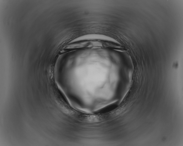 X0000090720091200708031510