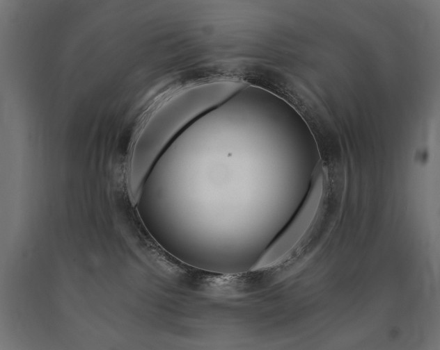 X0000090720092200708031510